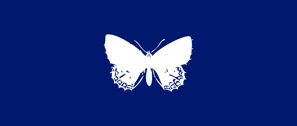 Bleu Électrique Papillon_p