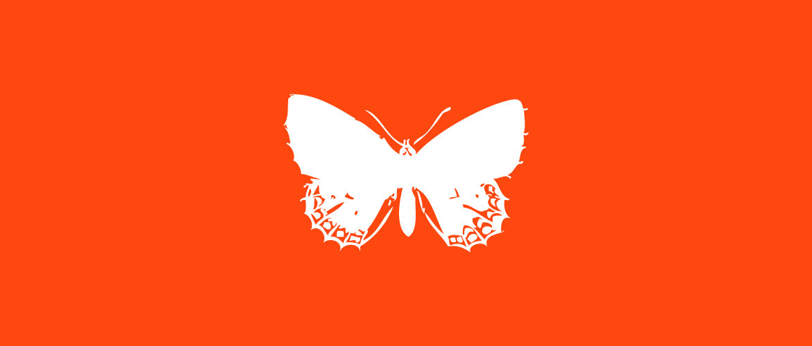 Orange Corail Papillon_p