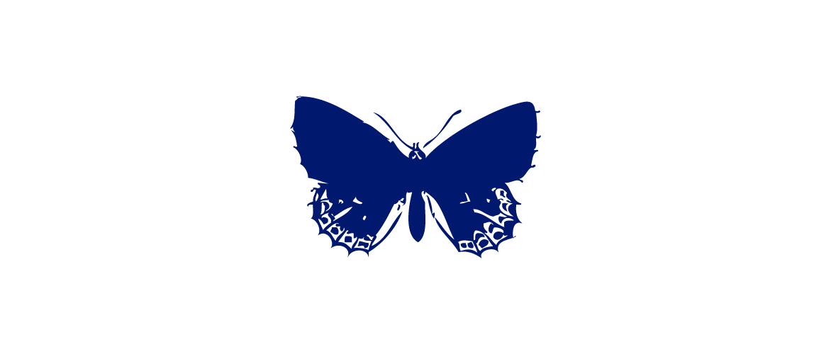 Bleu Électrique Papillon_p_i