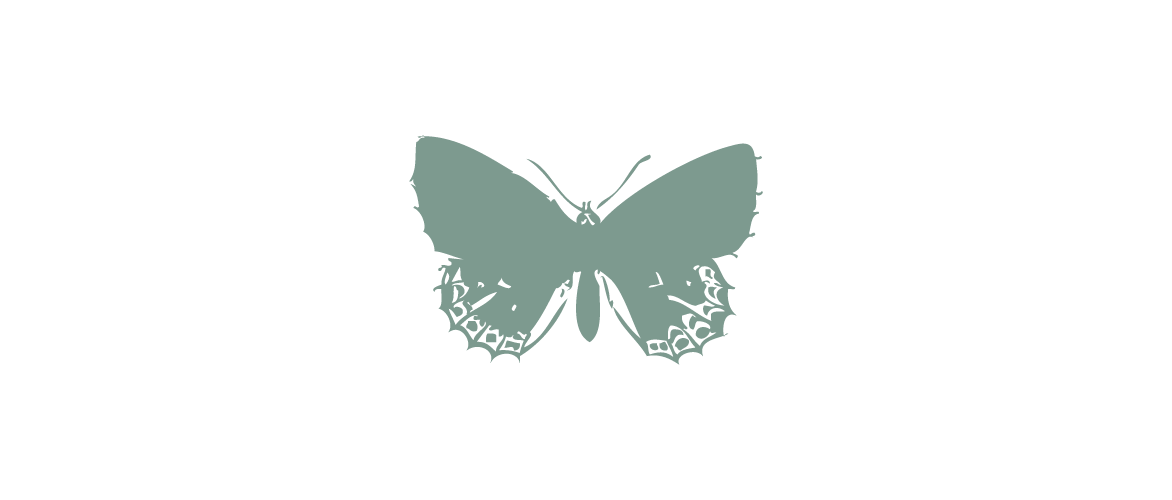 Vert Celadon Papillon_p_i