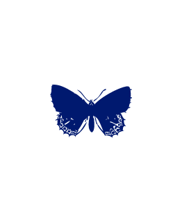 Bleu Électrique Papillon_p_i