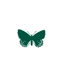 Vert Anglais Papillon_p_i