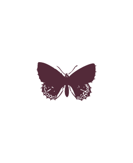 Violet de Pérylène Papillon_p_i