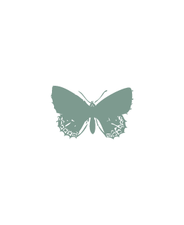 Vert Celadon Papillon_p_i