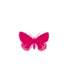 Rose Frambroise Papillon_p_i
