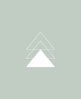 Vert Lichen Triangle_p