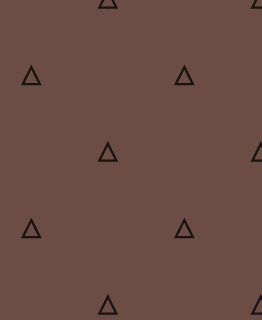Brun Cacao Triangle2_n