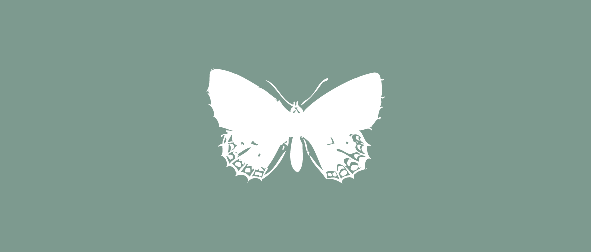 Vert Celadon Papillon_p