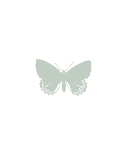 Vert Lichen Papillon_p_i